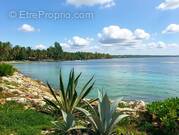 Appartement à SAINTE-ANNE