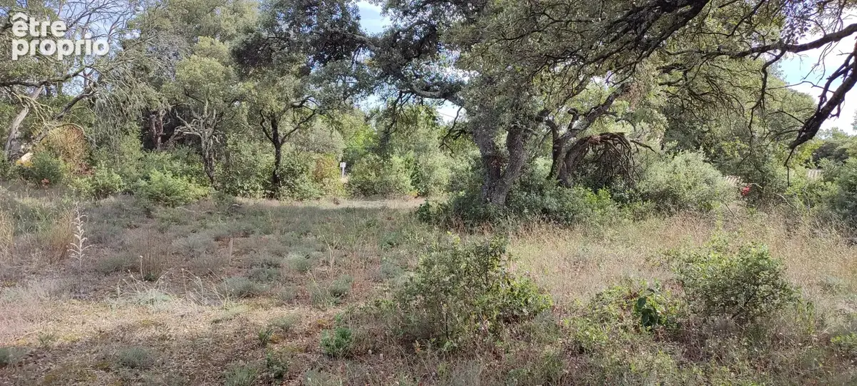 Terrain à bâtir de 1200 m2 au calme absolu - photo 2