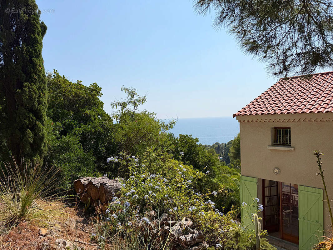 Maison Carqueiranne 6 pièce(s) 155.47 m2 - CARQUEIRANNE Vue Mer Panoramique - photo 8
