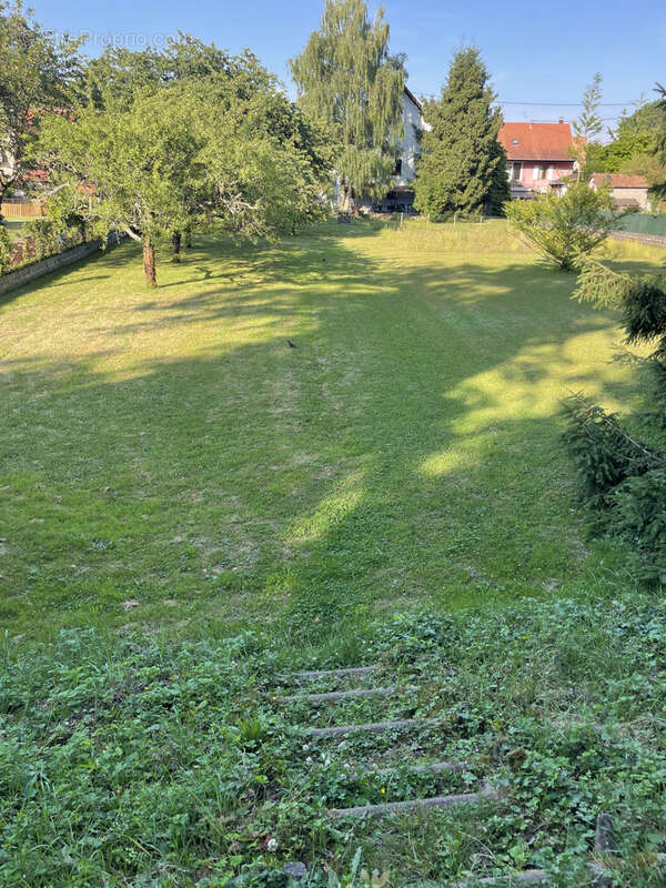 Terrain à AVOLSHEIM