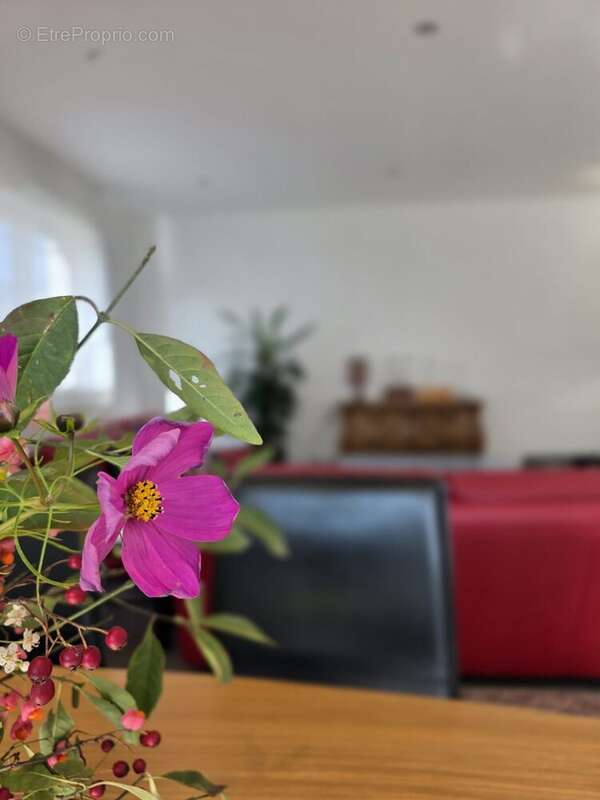 Maison à RICHWILLER