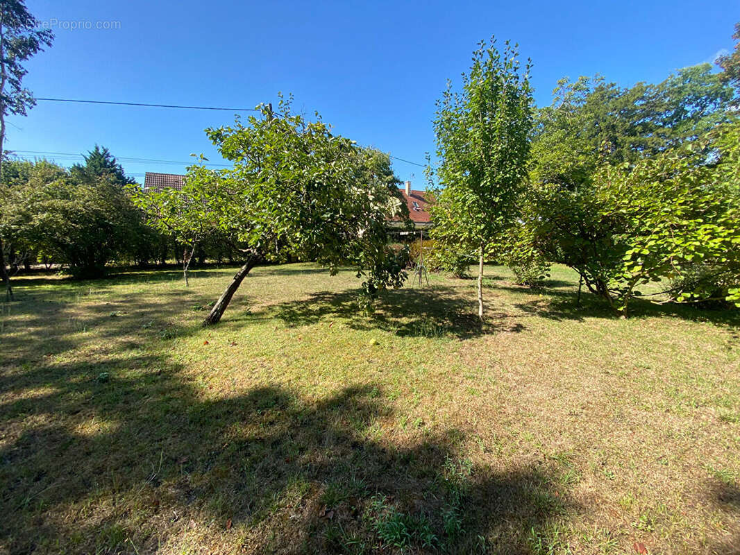 Terrain à OLIVET