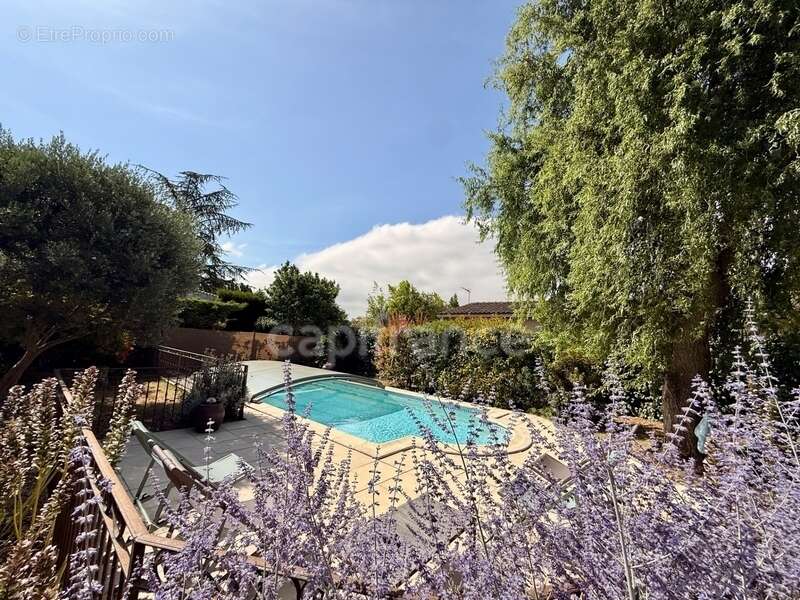 Maison de Maitre CARCASSONNE sur 233m2 habitables , 5 chambres, garage, piscine terrain 1100m2 - photo 40