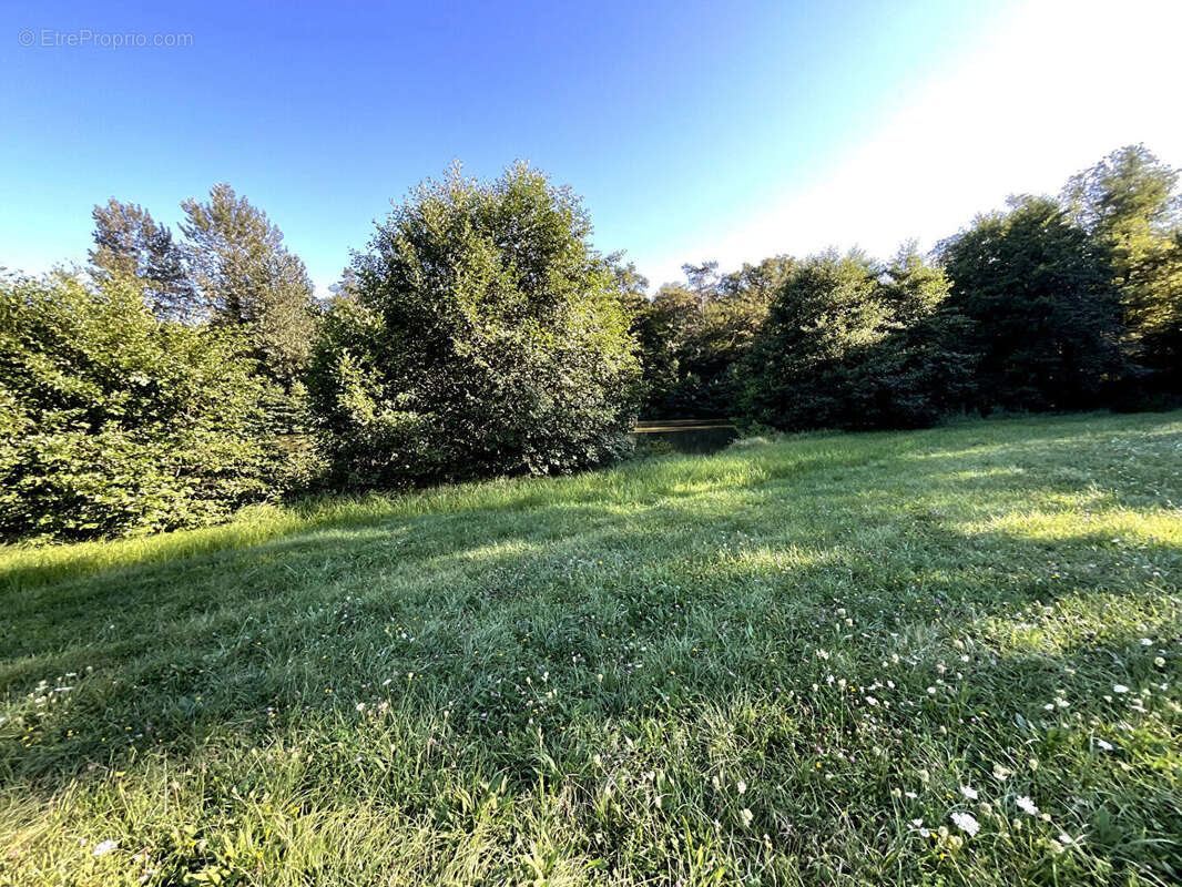 Terrain à POLAINCOURT-ET-CLAIREFONTAINE