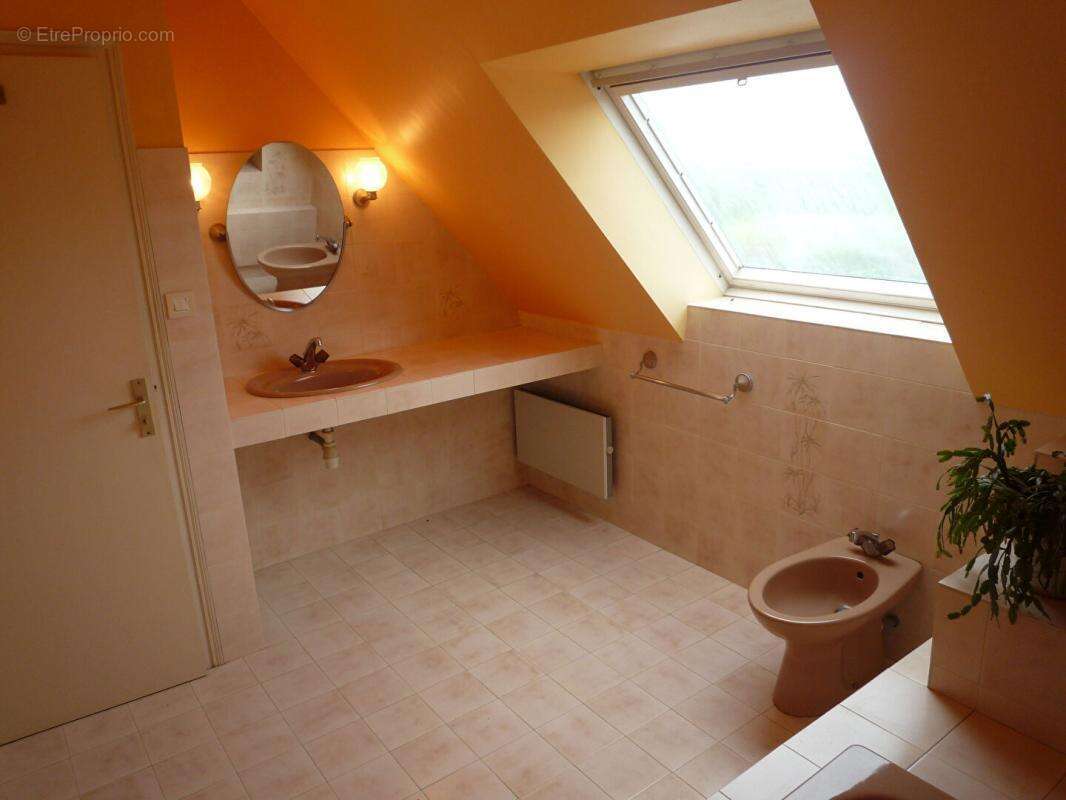 Maison à SAINT-POL-DE-LEON