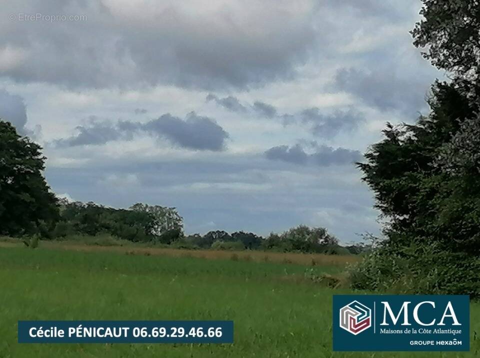 Photo Terrain à Clermont au prix de 57 000€