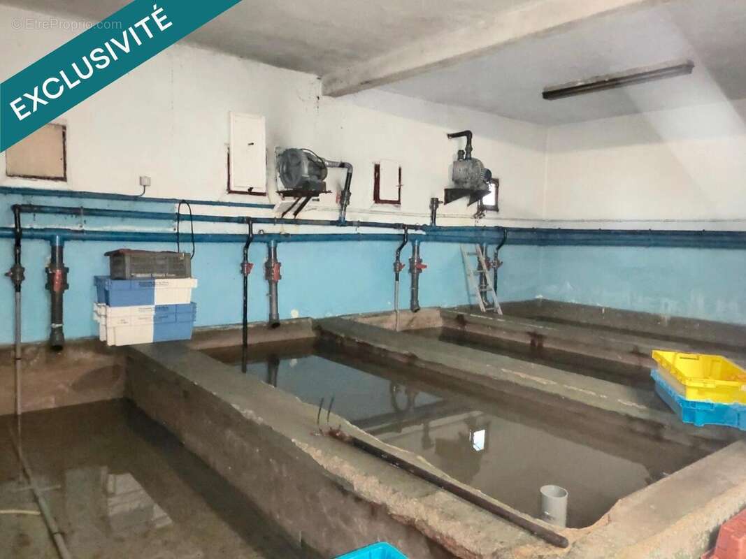 Appartement 260 m² à Clohars-Carnoet  - photo 5