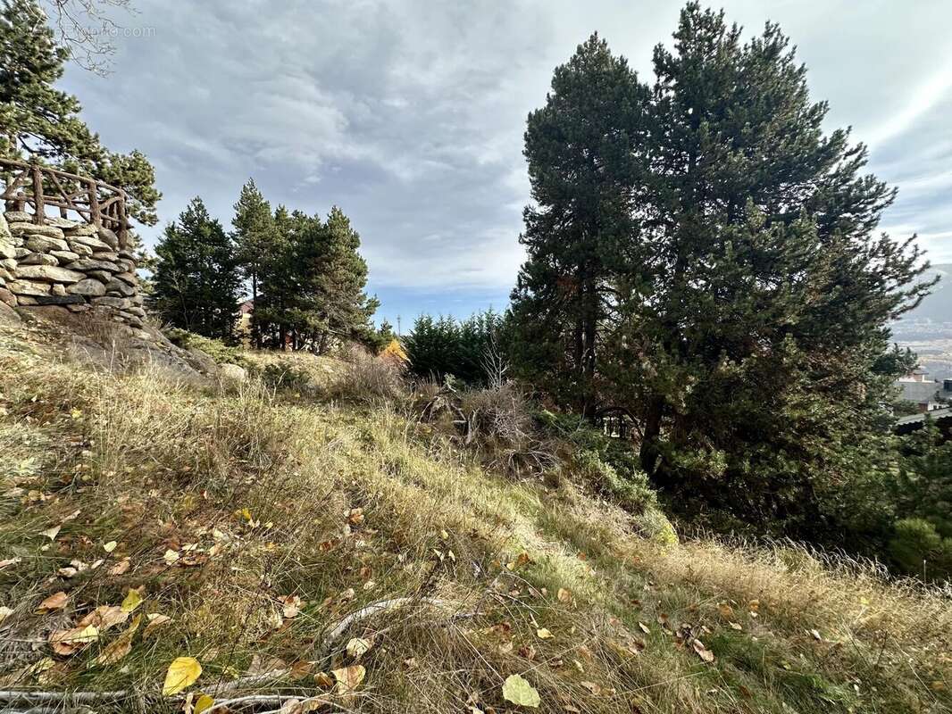 Terrain à FONT-ROMEU-ODEILLO-VIA