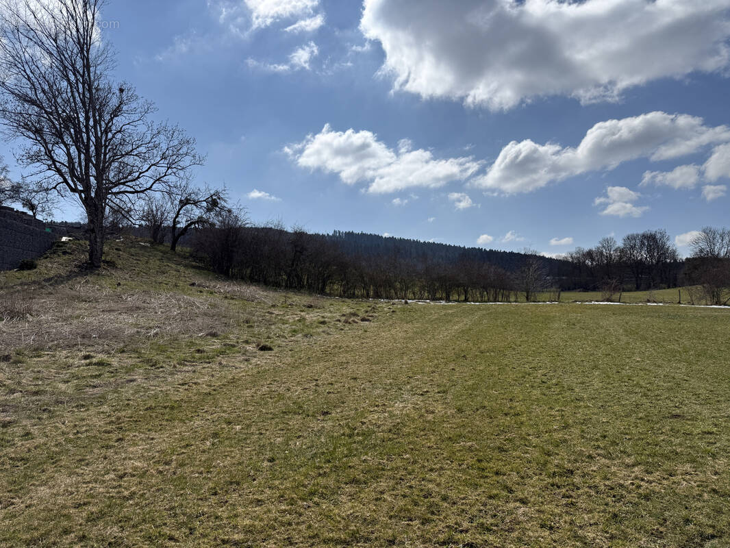 Terrain à DAMPRICHARD