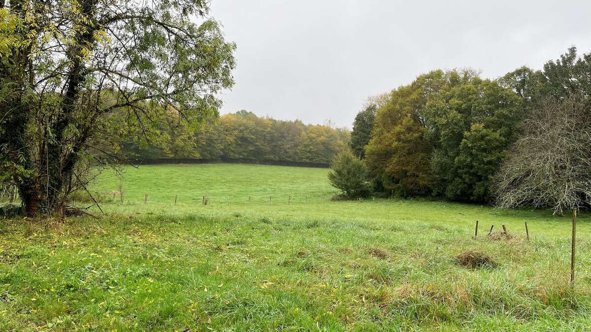Charmante maison de campagne authentique sur son jardin de 1200 m2 et sa petite prairie - photo 29