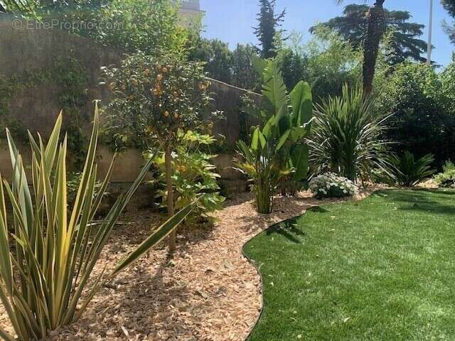 Juan-les-Pins – Centre-ville, 3 pieces en rez de jardin - photo 9