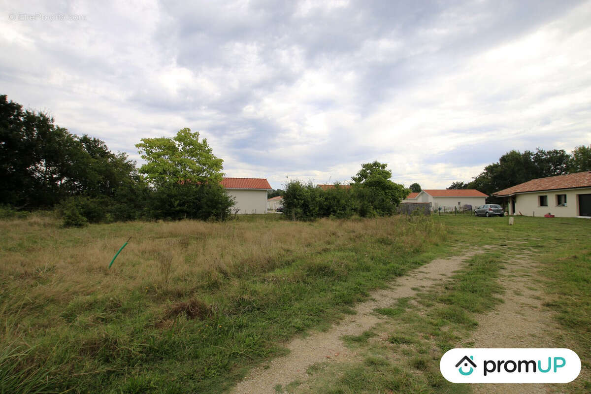 Terrain à AUREILHAN