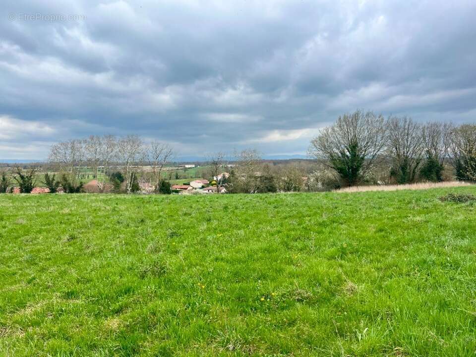 Terrain à CHALAMONT