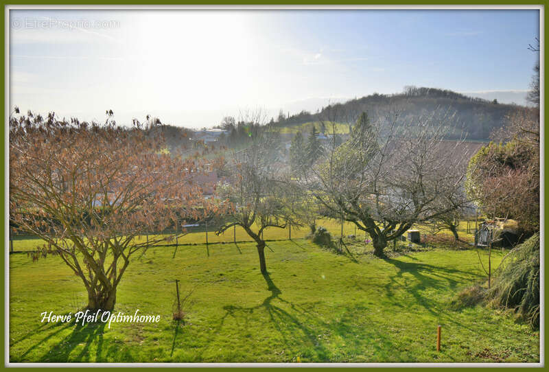 Terrain à ORNACIEUX