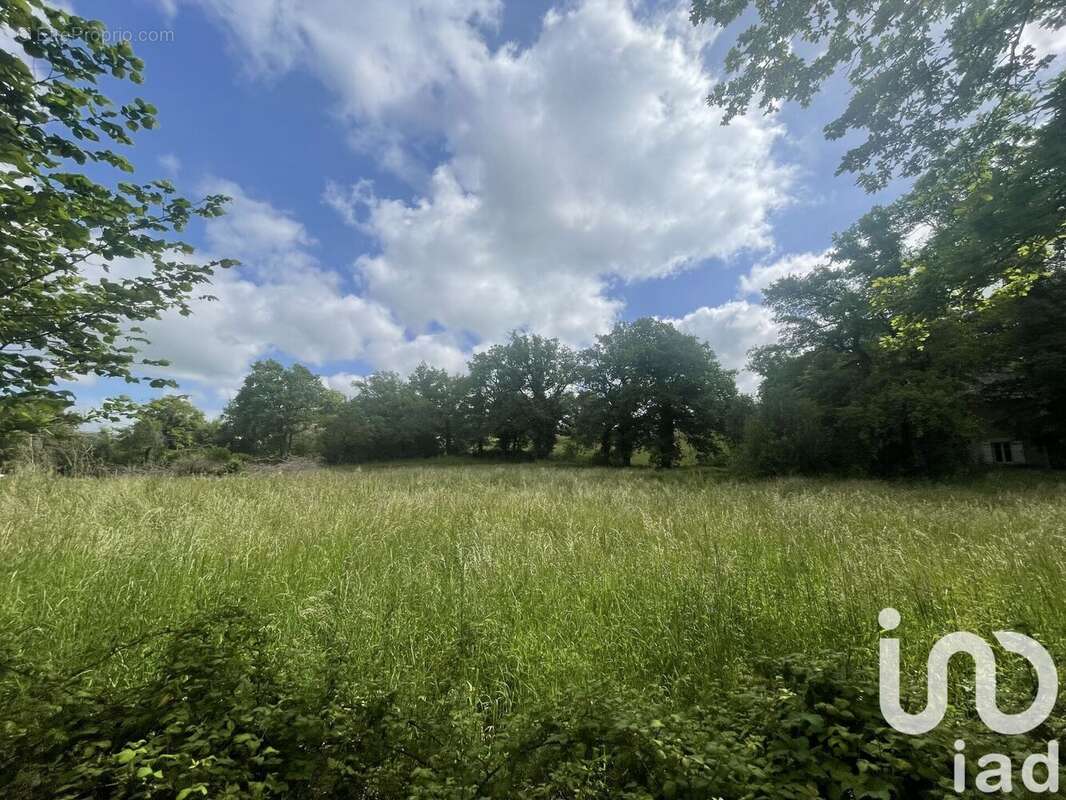 Photo 3 - Terrain à MONTROZIER