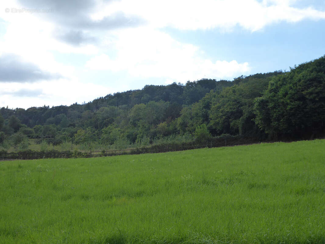 Maison à PONT-L'EVEQUE