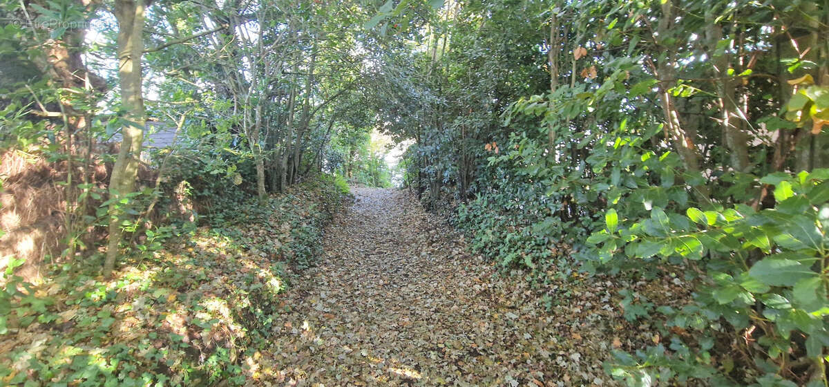 Appartement à CLOHARS-CARNOET