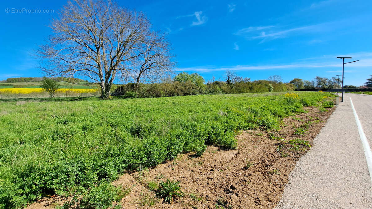 Terrain à MALAY-LE-PETIT