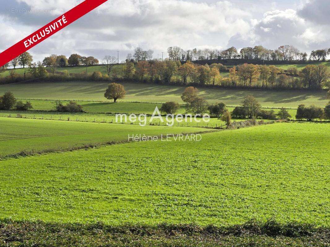 Maison à ROUESSE-VASSE