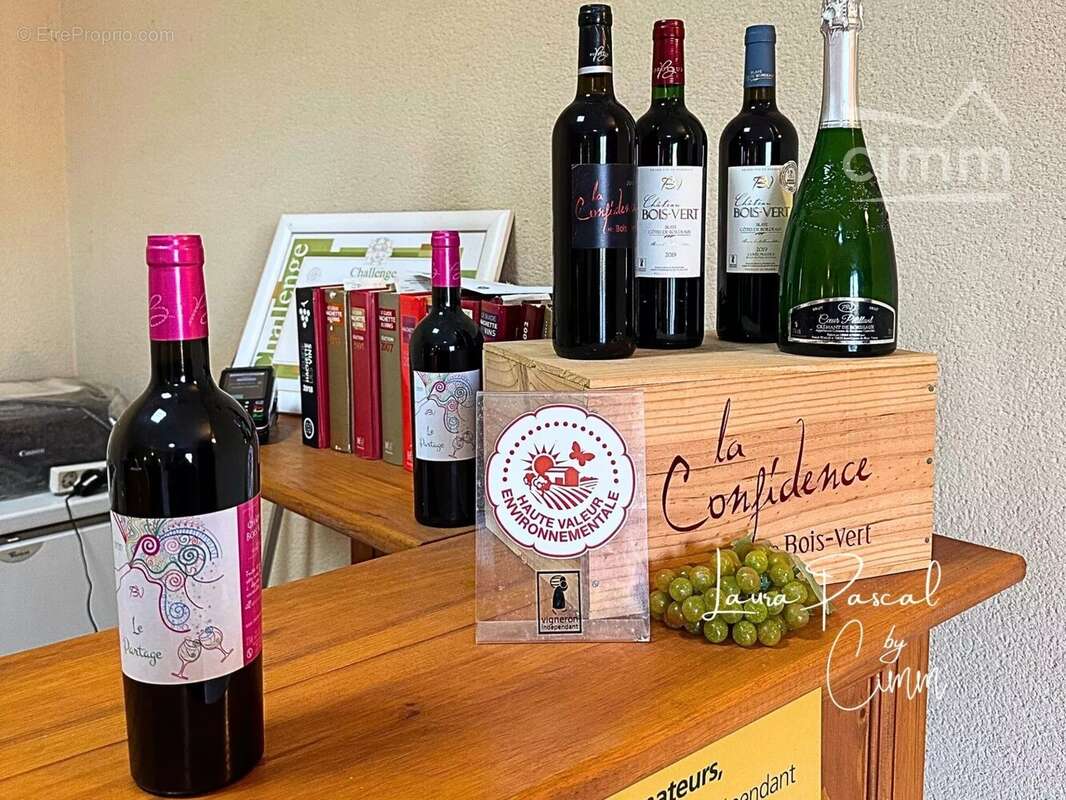 Maison à PLEINE-SELVE