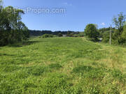Terrain à SAINT-CYPRIEN