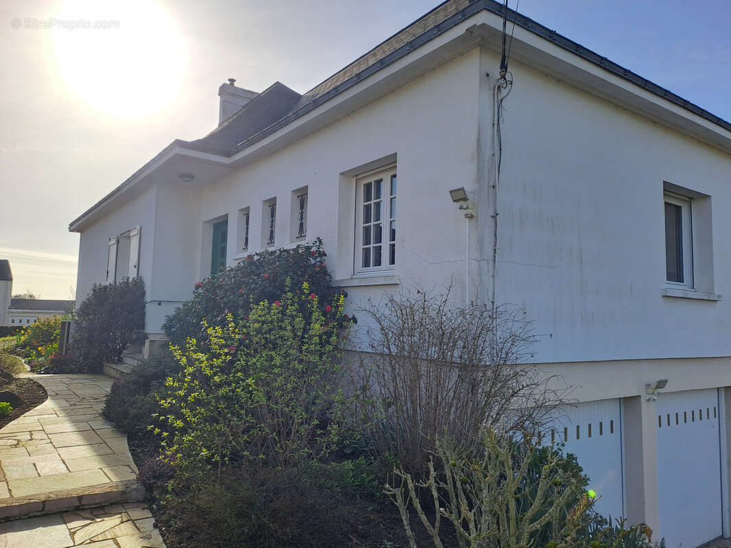 Maison à LE FRESNE-SUR-LOIRE