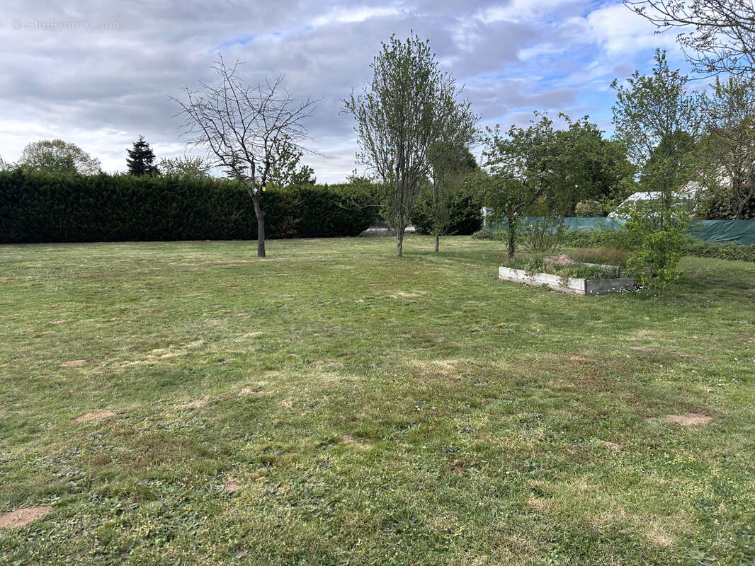 Terrain à YVRE-L'EVEQUE