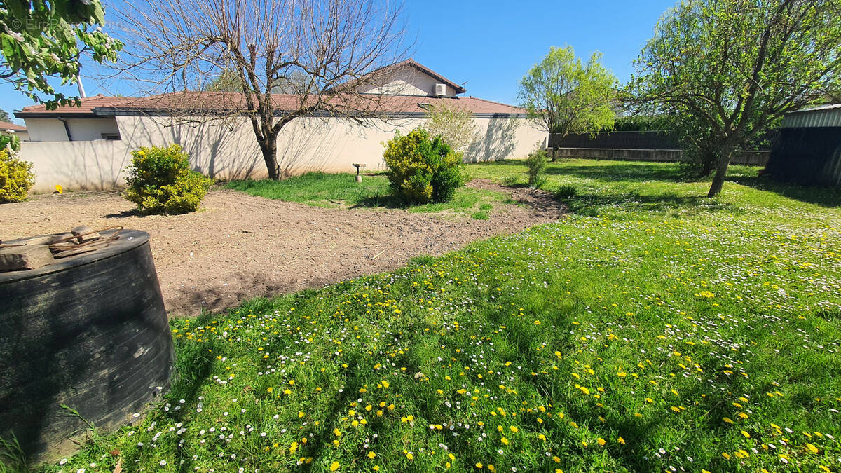 Terrain à VILLEMOIRIEU