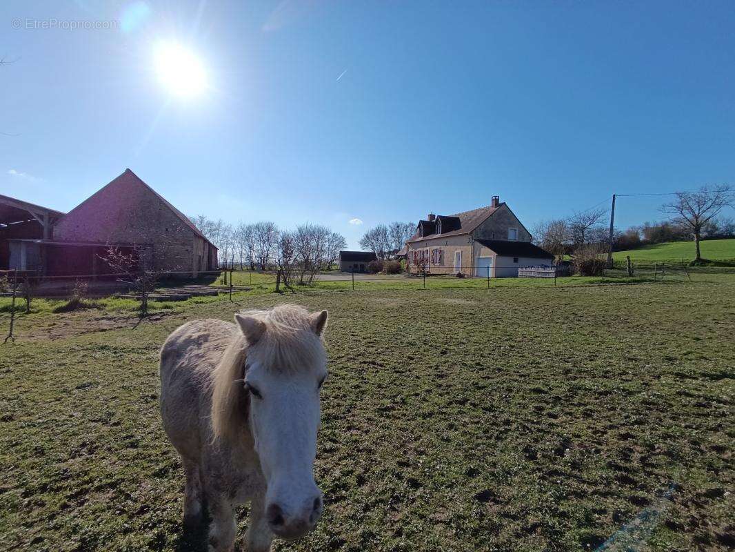 Maison à COULANS-SUR-GEE