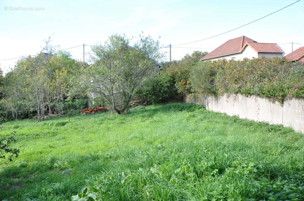 Maison à ARFEUILLES