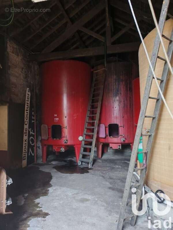 Photo 4 - Maison à LAMOTHE-MONTRAVEL