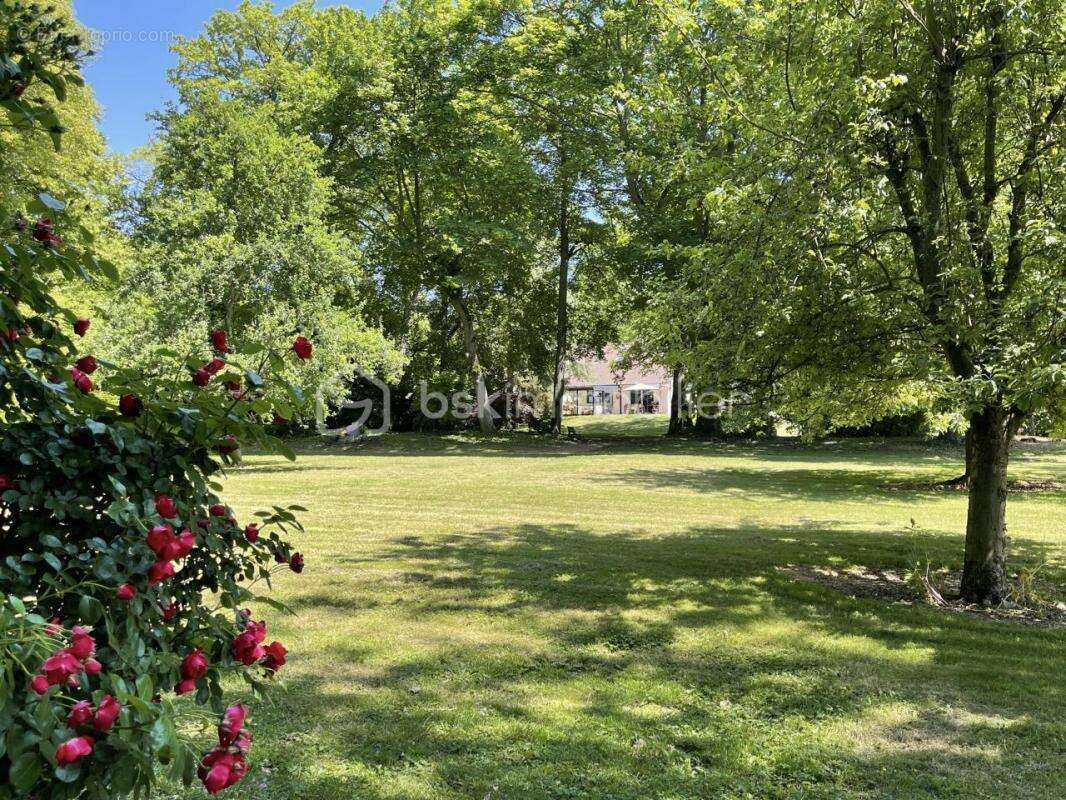 Maison à GERMIGNY-L&#039;EVEQUE