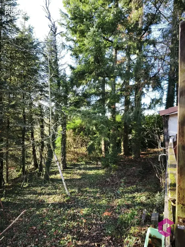 Jolie Chalet en Auvergne de 75 m2 sur terrain de 1474 m2 à 15mn d'Ambert - photo 3