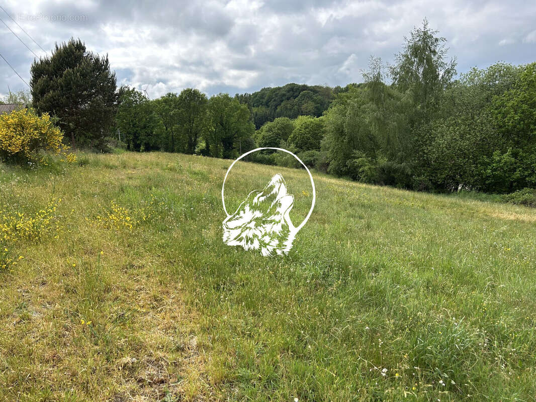 Terrain à LONGEVILLE-LES-SAINT-AVOLD