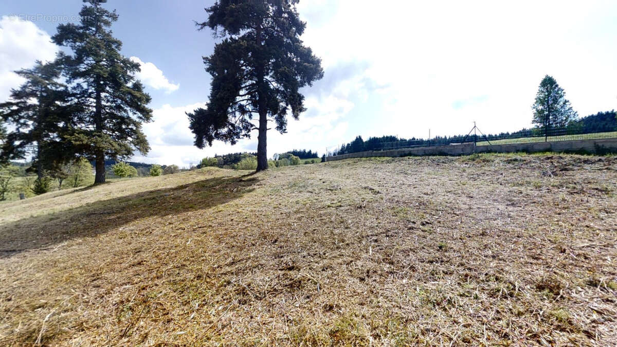 Terrain loti au calme ! - photo 6