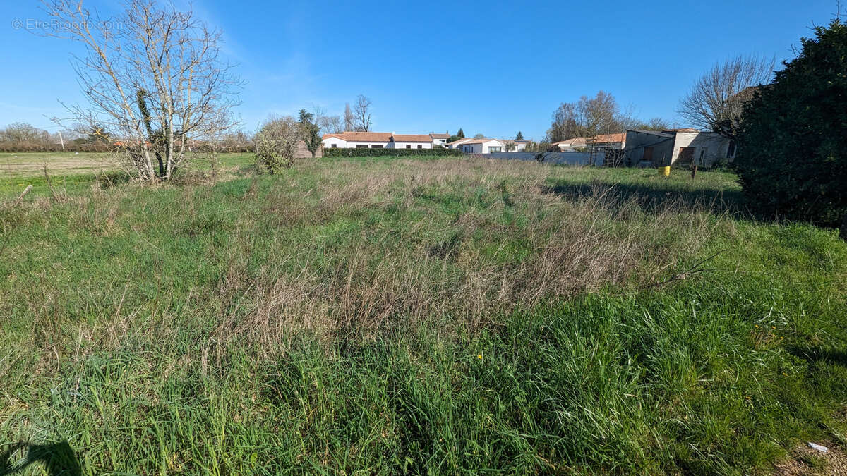 Terrain à COULON