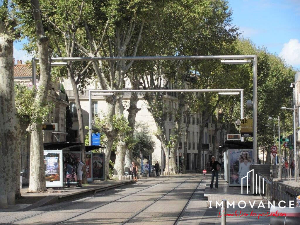 Autre à MONTPELLIER