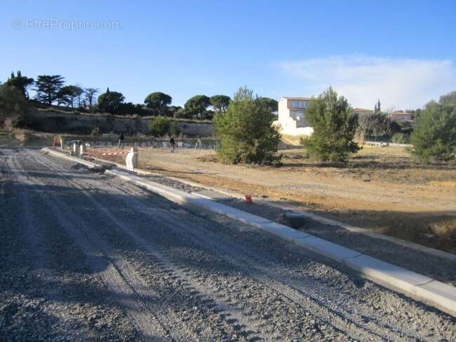 Terrain 300 m² à Aigues-Mortes  - photo 2
