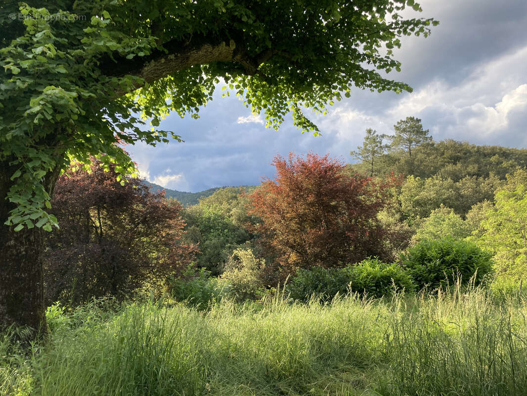 Maison à SAINT-FORTUNAT-SUR-EYRIEUX