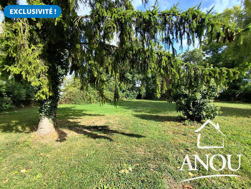 Maison à NOTTONVILLE