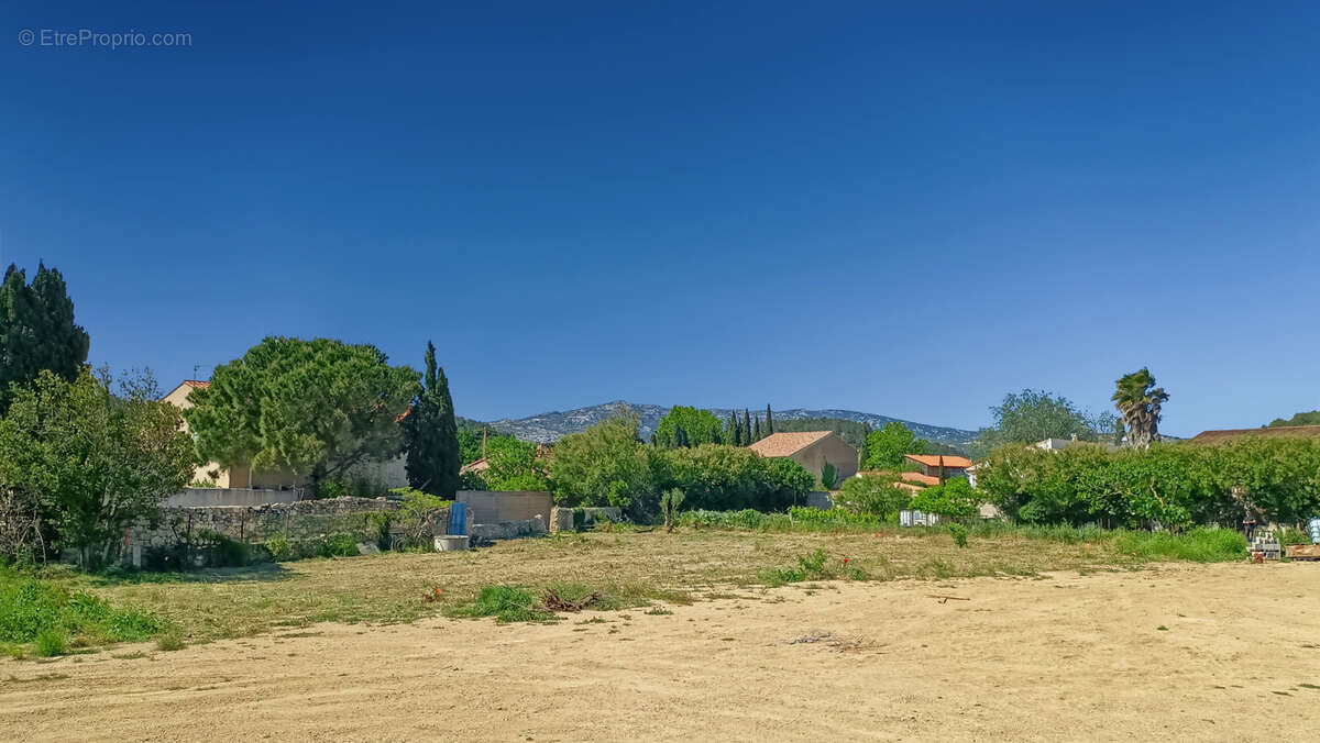 Entre la Palme et Sigean,, très beau terrain constructible et viabilisé - photo 4