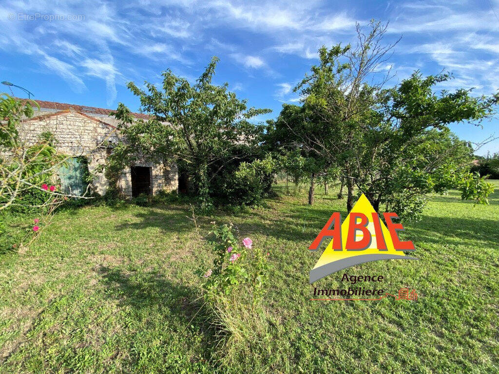 Photo 1 - Terrain à OULMES