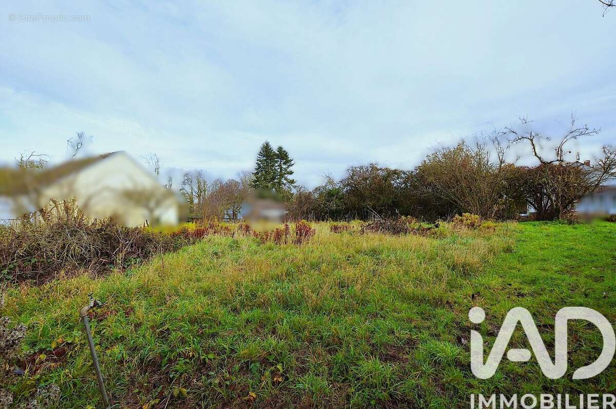 Photo 2 - Terrain à CHOISY-EN-BRIE
