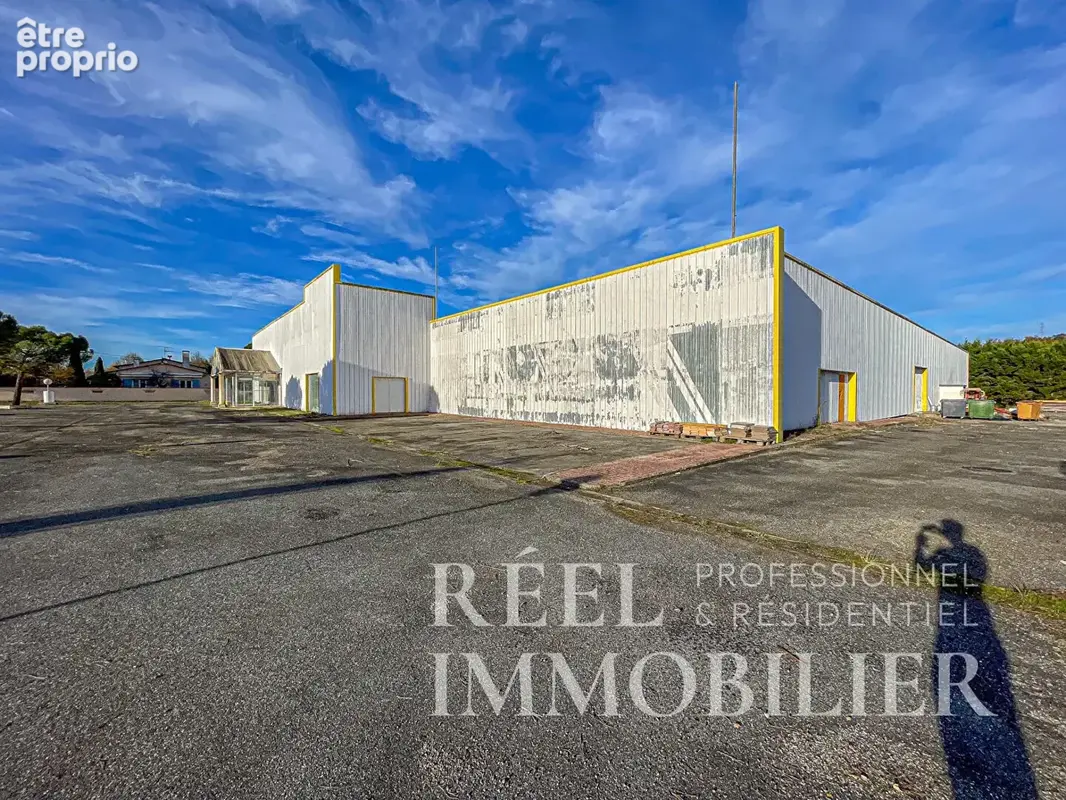 Local commercial de grande surface avec parking  - Emplacement n°1 - photo 3