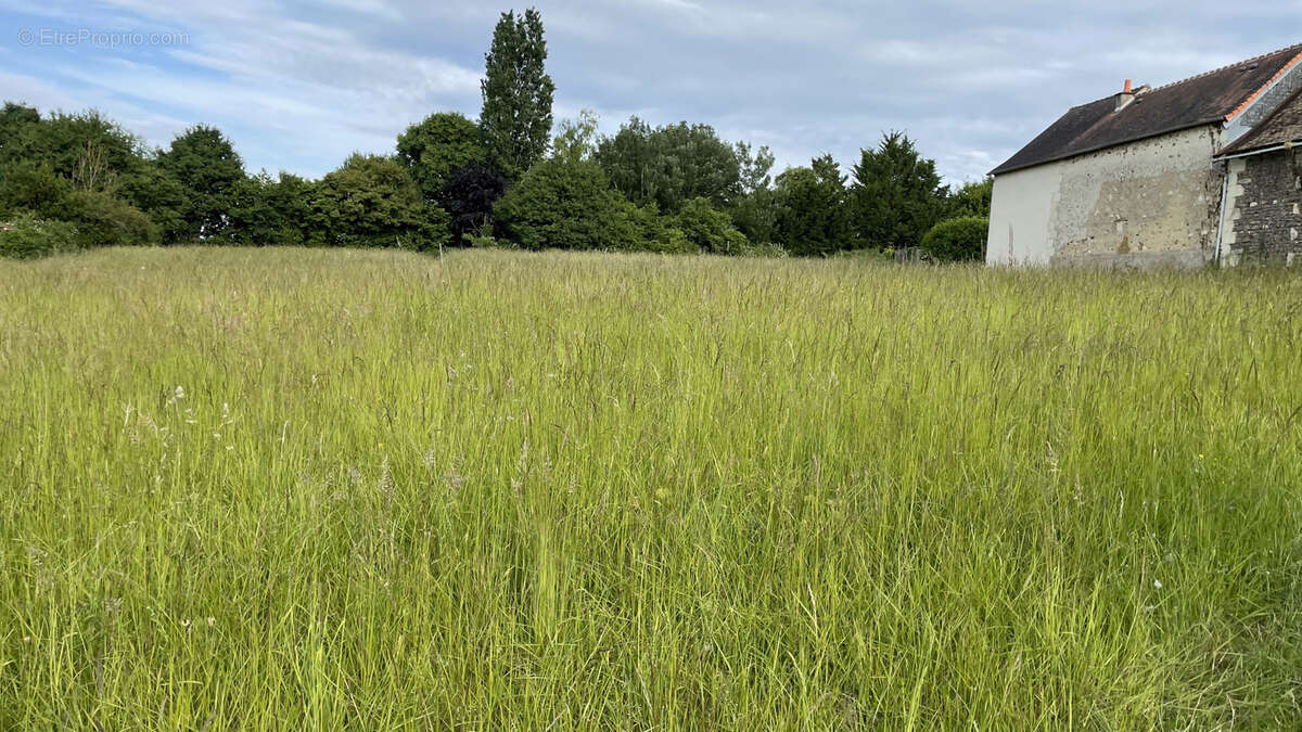 Terrain à COUSSAY-LES-BOIS
