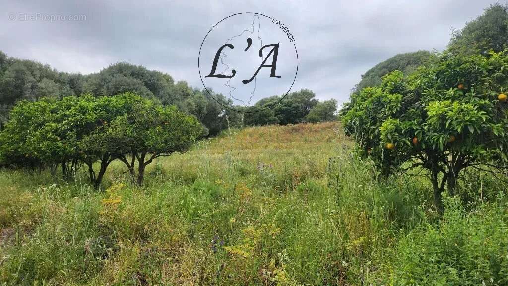 AFA – Terrain constructible de 1 270 m² – Vue campagne – Libre de constructeur - photo 8