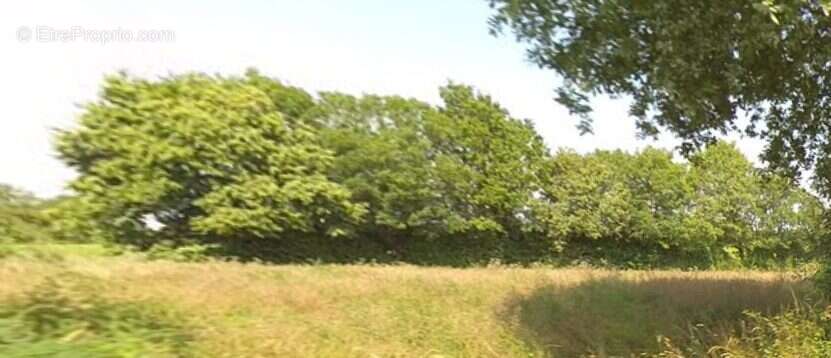 Terrain à BRESSUIRE
