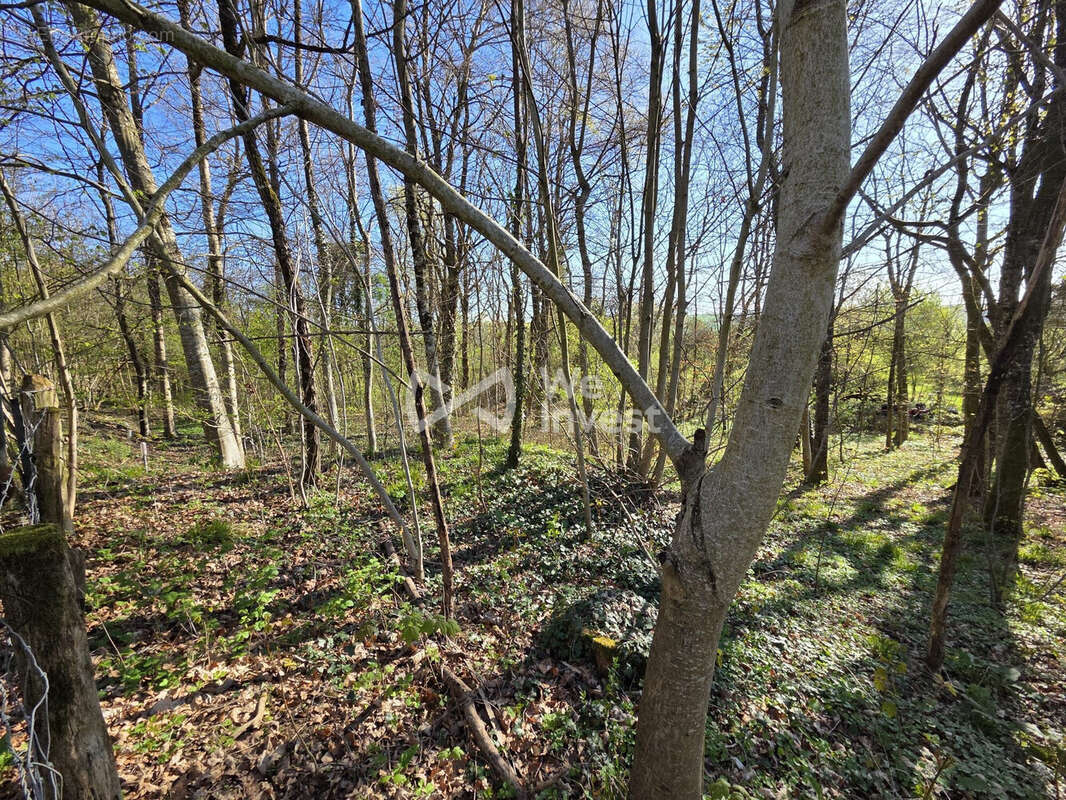 Terrain à LUZY-SAINT-MARTIN