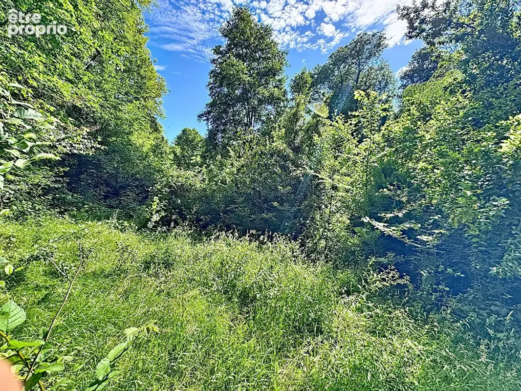 Exclusivite - cossesseville - terrain de loisirs - photo 4