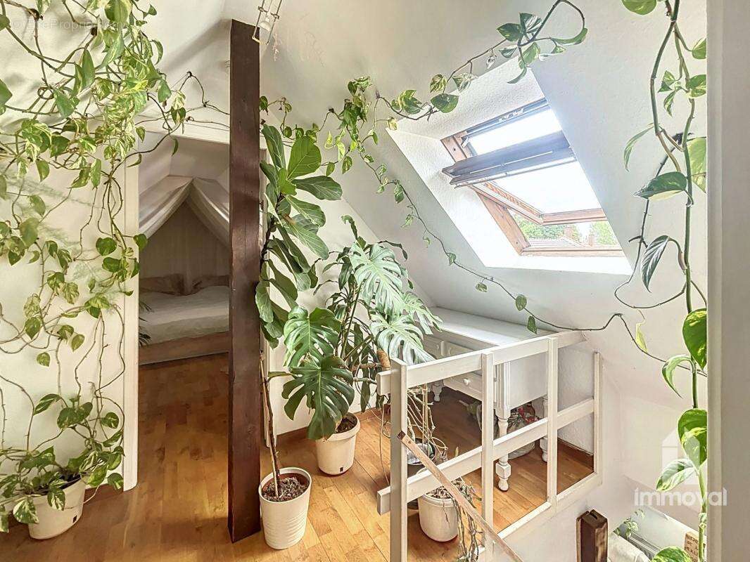 Appartement à SCHILTIGHEIM